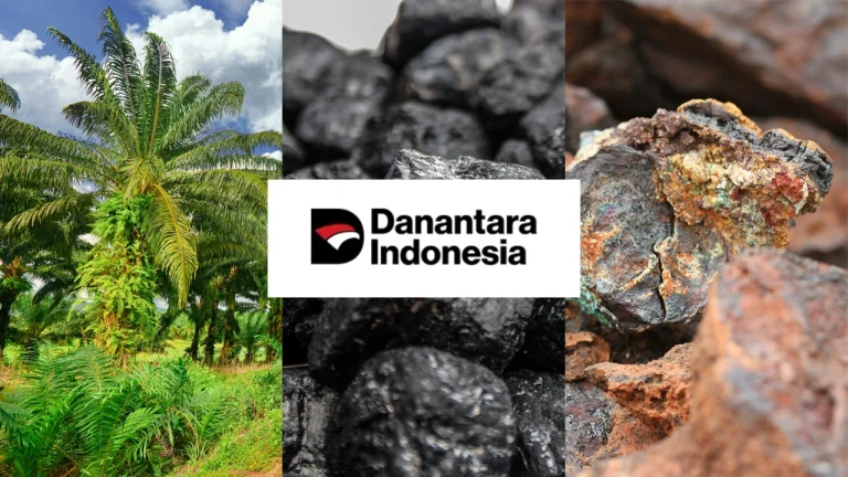 Danantara Indonesia Palm Oil Coal Nickel