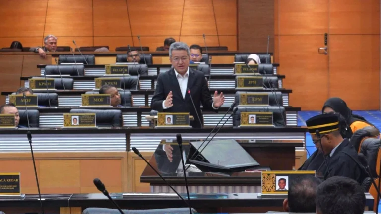 Liew Chin Tong Parliament Income Tax