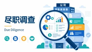 Company Due Diligence