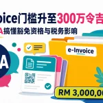 e-Invoice FAQ 3 Million Threshold